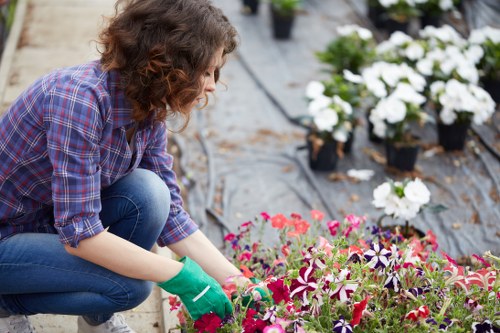A before-and-after style garden makeover scene in Raynes Park