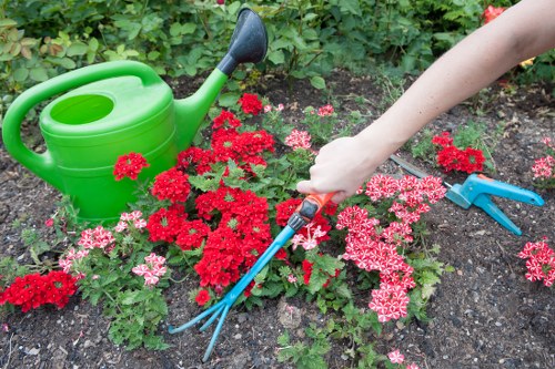 Garden design and build project planning in Raynespark