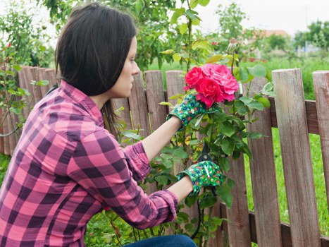 Local hard landscaping preparation and installation in Raynes Park
