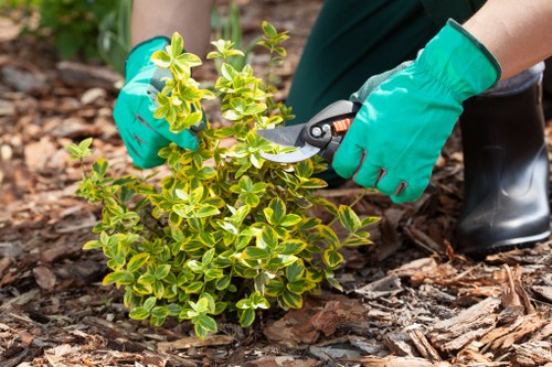 Manager assessing landscaping project records during a complaint review