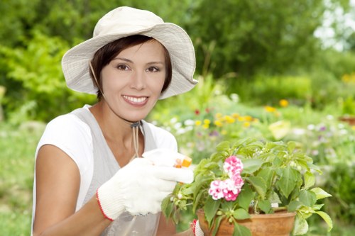Professional landscaping work in a Raynes Park garden setting