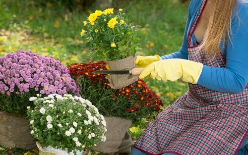 Local landscaping team planning a garden redesign in Raynespark