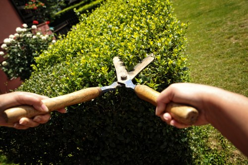 Garden clearance and landscaping work for a property in Raynes Park