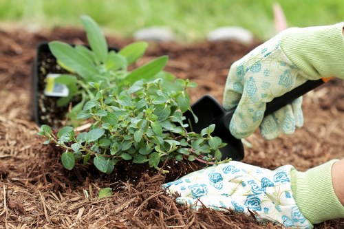 Seasonal planting and outdoor layout in Raynes Park landscaping