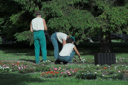 Family garden redesign with planting and seating areas
