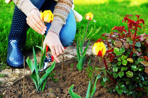 Professional turf laying finishing a lawn in Raynespark