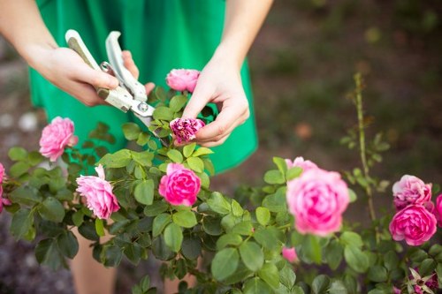 Safe handling of landscaping chemicals and tools on site