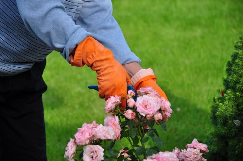 Local team carrying out garden construction in Raynespark