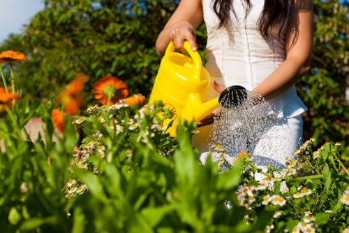 Low-maintenance synthetic lawn suitable for a family garden in Raynespark