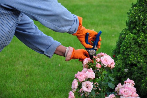 A refreshed front garden suitable for a Raynes Park home